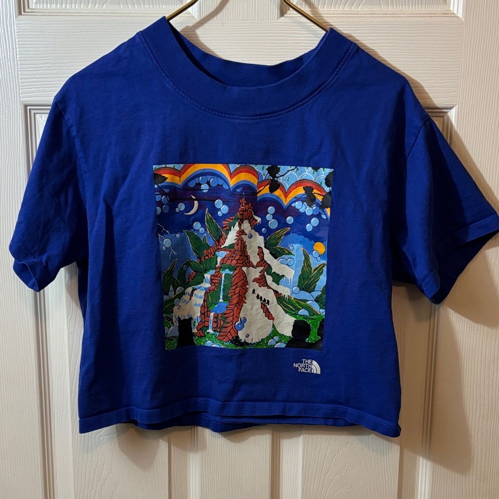 The North Face Kids Blue Short-Sleeve Graphic Tee - Picture 1 of 7